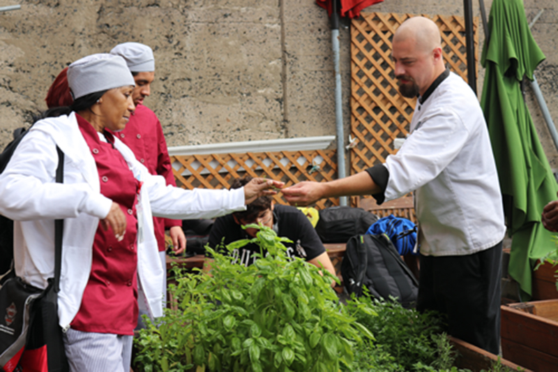 Lessons about herbs in a Community Garden