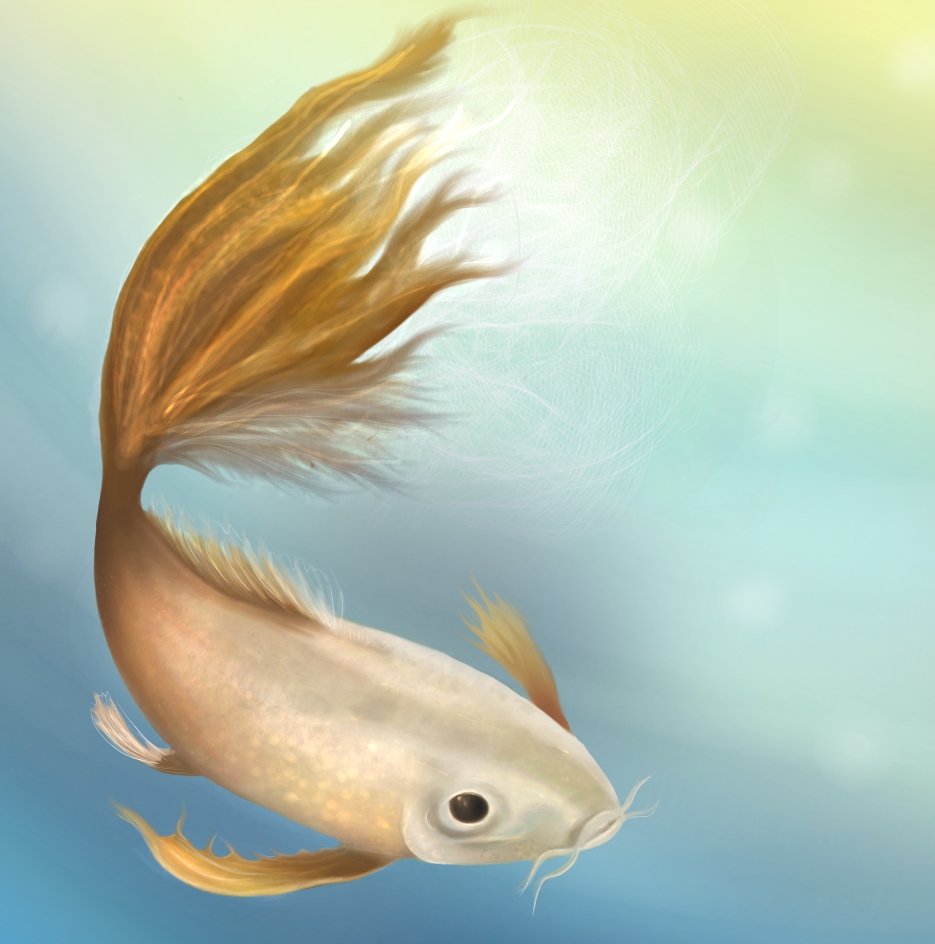 KoiFish