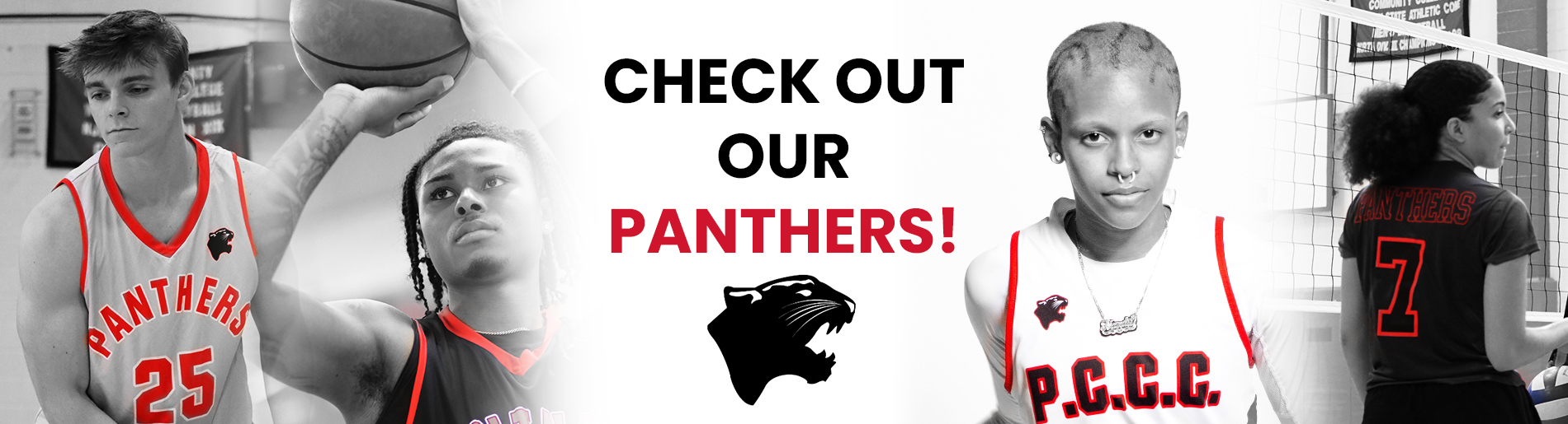 Check out our Panthers